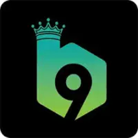 B9 Game official logo with crown design in green and black theme
