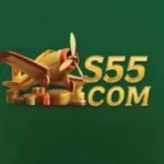 S55 Game logo featuring a golden airplane and coins on a green background