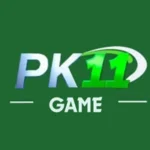 PK11 Game logo with green background and bold text design.