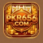PKR656 Game Real Money Earning App & Free Bonus Platform 1 Pkr656 Game Logo image
